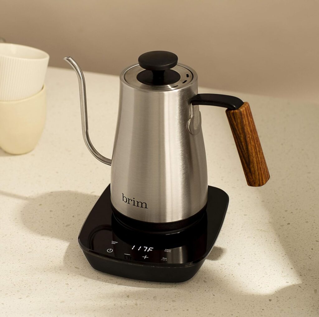 brim Temperature Control Electric Gooseneck Kettle with Capacitive Touch, Black